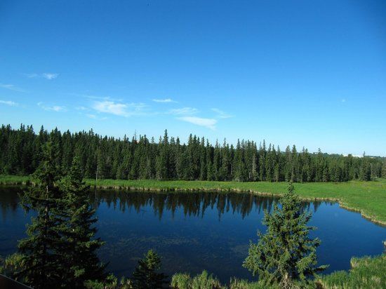 Kerry Wood Nature Centre
